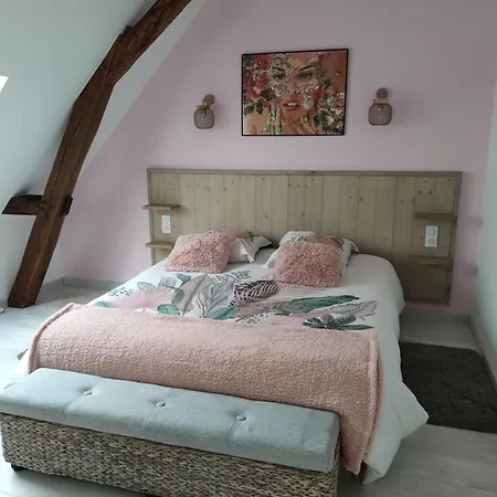 Des Toucanes Beaumont-Pied-de-Boeuf (Sarthe)