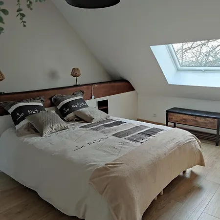 Hébergement de vacances Des Toucanes