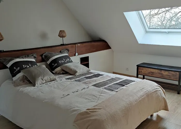 Semesterbostad Des Toucanes